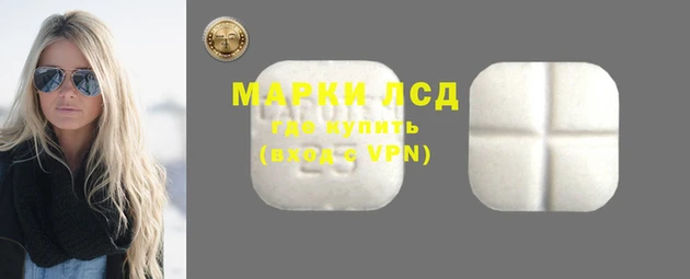 стафф Алзамай