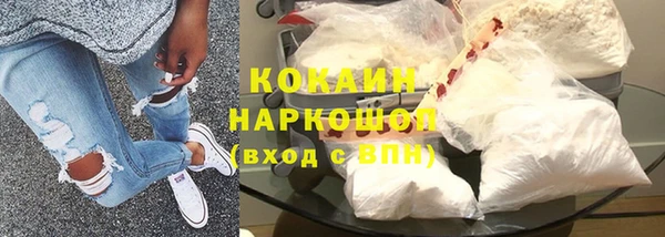 стафф Алзамай