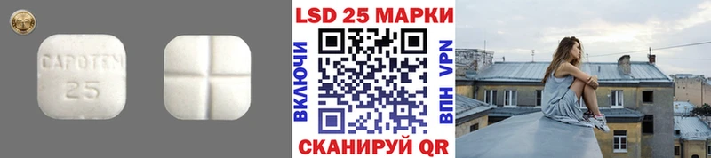 где купить   OMG tor  Лсд 25 экстази ecstasy  Новозыбков 