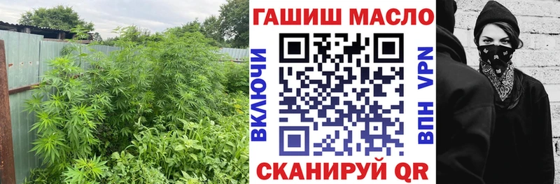 ТГК жижа  Новозыбков 