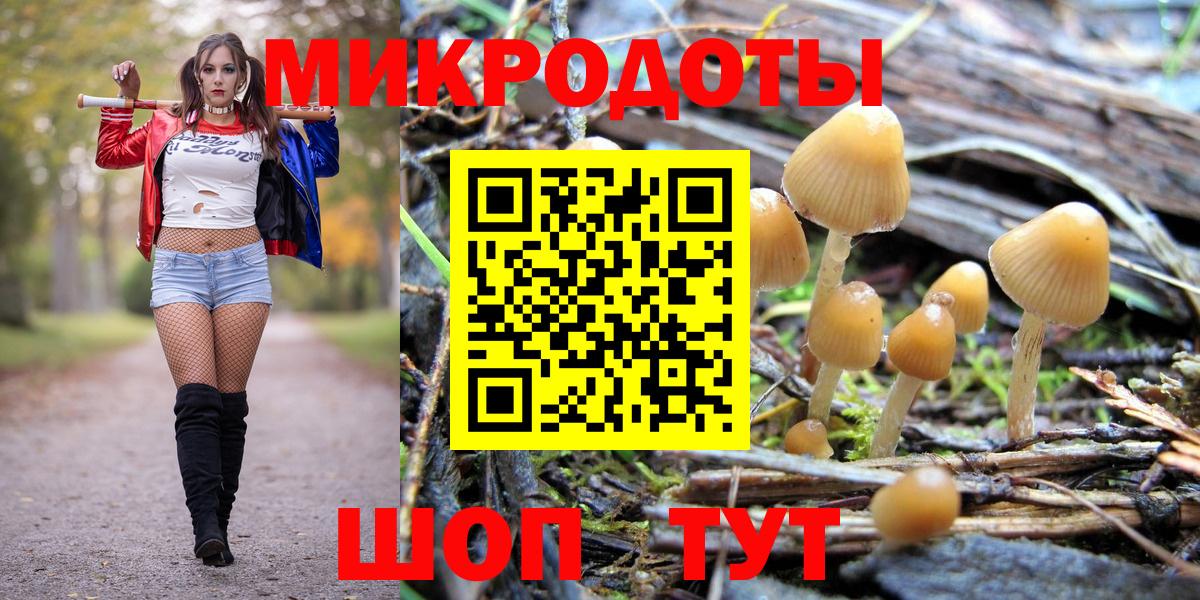 Псилоцибиновые грибы Psilocybe  закладка  Новозыбков  Вход с VPN 