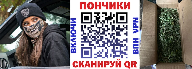 MEGA сайт Новозыбков это официальный сайт купить Марихуана индика